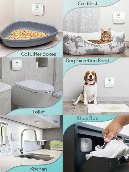 DownyPaws Smart Cat Odor Purifier